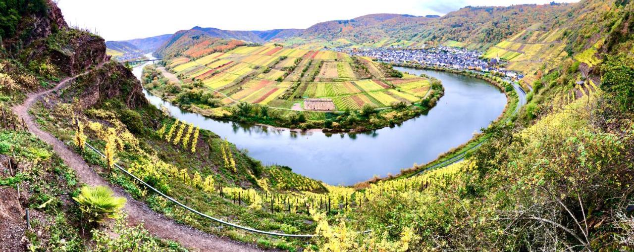Haus Am Ufer Mit Rheinpanoramablick Apartman Koblenz  Kültér fotó