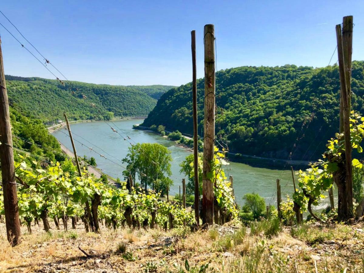 Haus Am Ufer Mit Rheinpanoramablick Apartman Koblenz  Kültér fotó